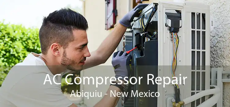 AC Compressor Repair Abiquiu - New Mexico