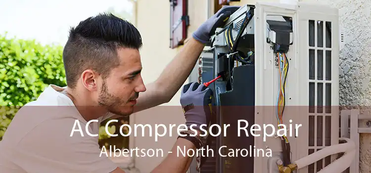 AC Compressor Repair Albertson - North Carolina