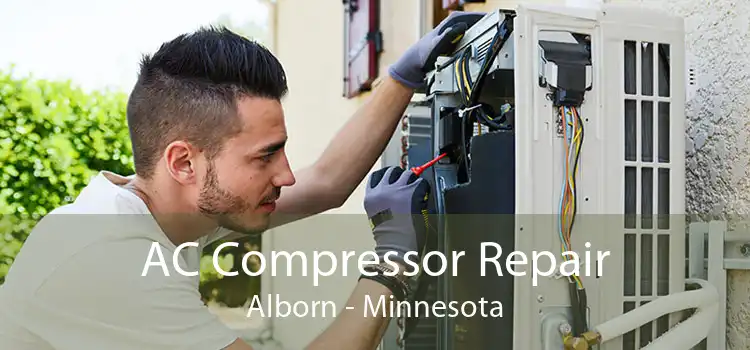 AC Compressor Repair Alborn - Minnesota