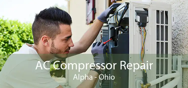 AC Compressor Repair Alpha - Ohio
