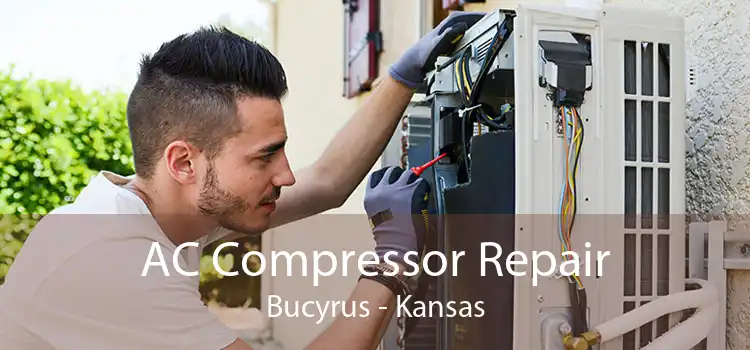 AC Compressor Repair Bucyrus - Kansas