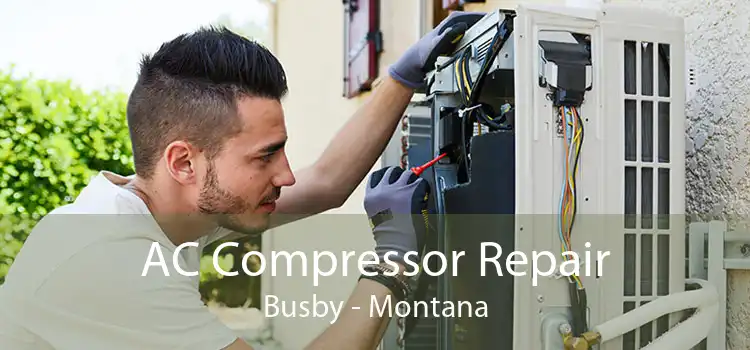 AC Compressor Repair Busby - Montana