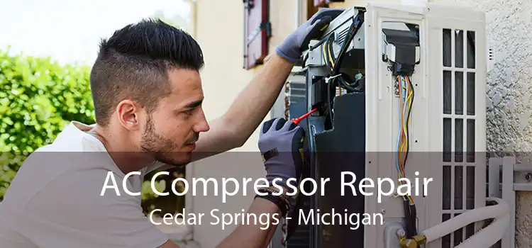 AC Compressor Repair Cedar Springs - Michigan