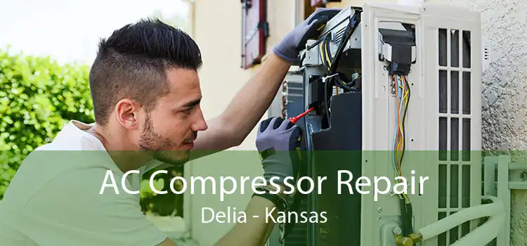 AC Compressor Repair Delia - Kansas