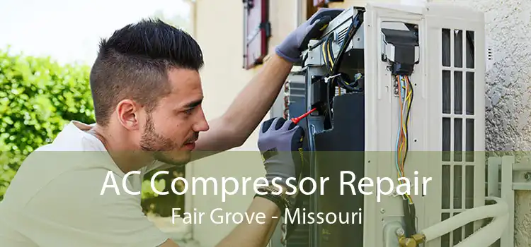 AC Compressor Repair Fair Grove - Missouri
