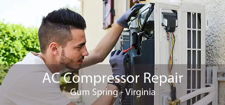 AC Compressor Repair Gum Spring - Virginia
