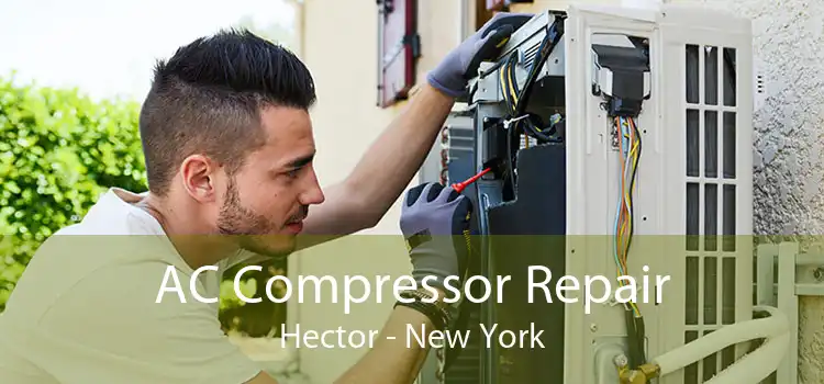 AC Compressor Repair Hector - New York