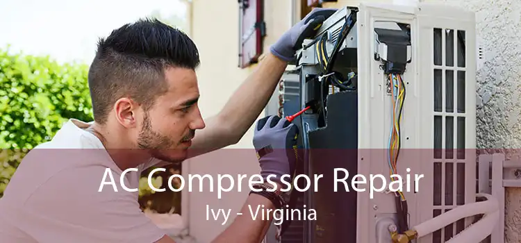 AC Compressor Repair Ivy - Virginia