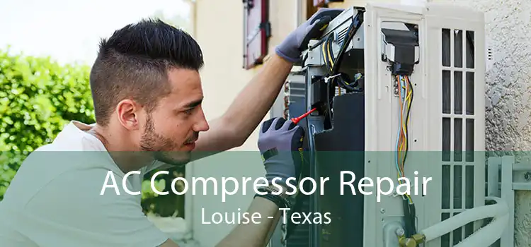 AC Compressor Repair Louise - Texas