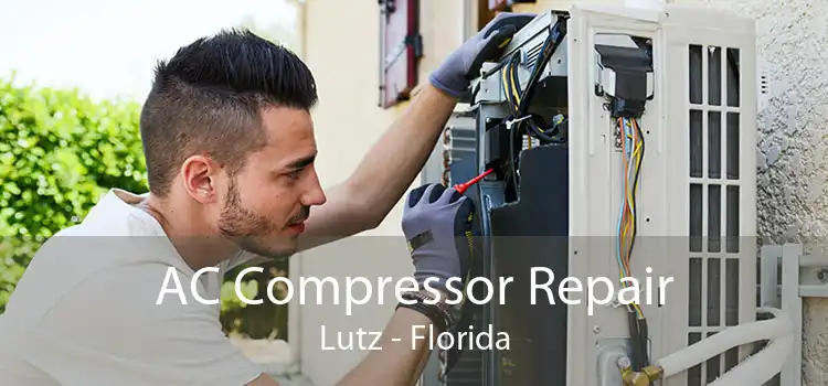 AC Compressor Repair Lutz - Florida