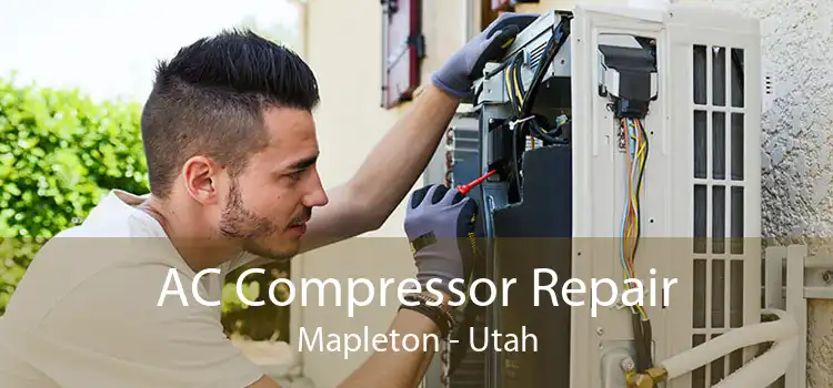 AC Compressor Repair Mapleton - Utah