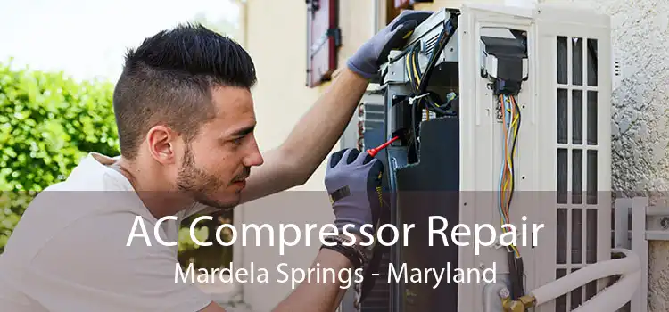 AC Compressor Repair Mardela Springs - Maryland