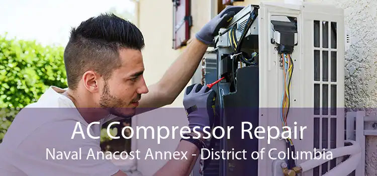 AC Compressor Repair Naval Anacost Annex - District of Columbia