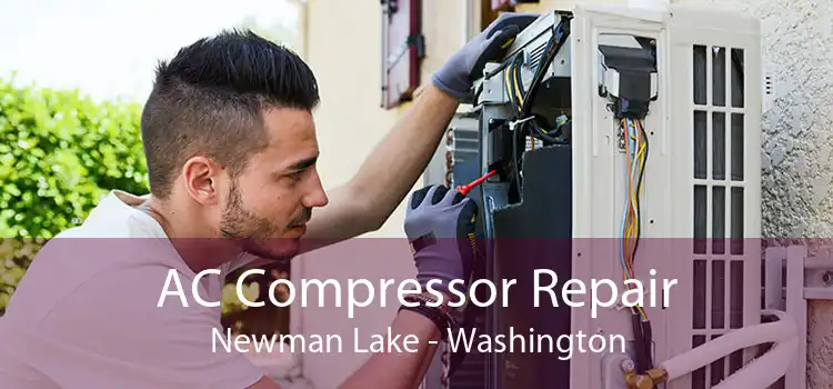 AC Compressor Repair Newman Lake - Washington