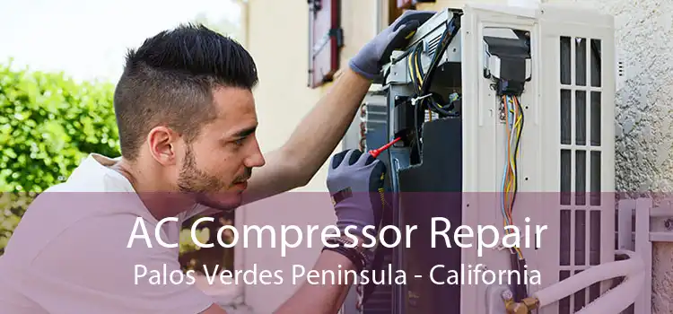 AC Compressor Repair Palos Verdes Peninsula - California
