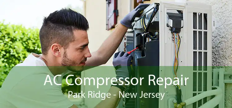 AC Compressor Repair Park Ridge - New Jersey