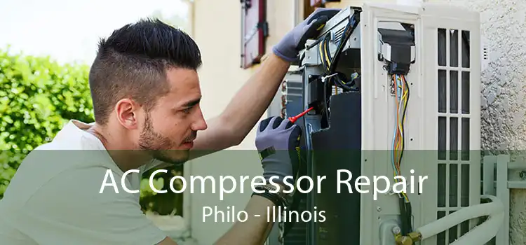 AC Compressor Repair Philo - Illinois
