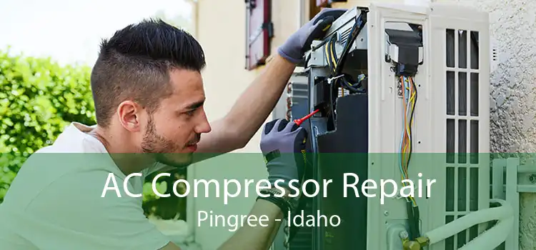 AC Compressor Repair Pingree - Idaho