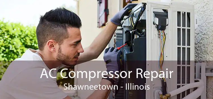 AC Compressor Repair Shawneetown - Illinois