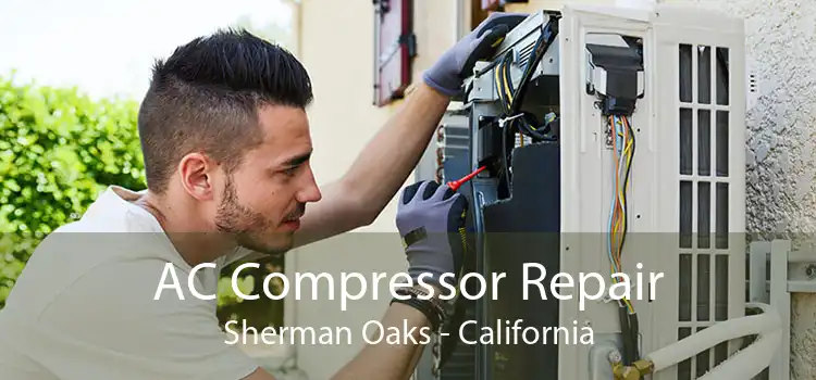 AC Compressor Repair Sherman Oaks - California