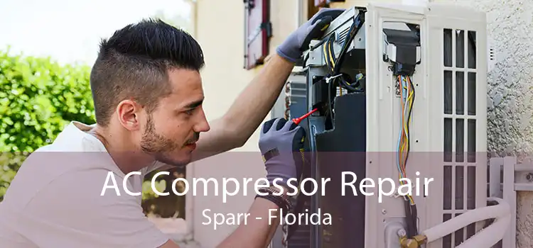 AC Compressor Repair Sparr - Florida