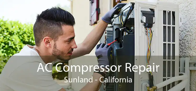 AC Compressor Repair Sunland - California