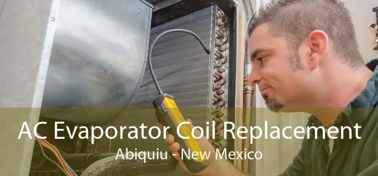 AC Evaporator Coil Replacement Abiquiu - New Mexico