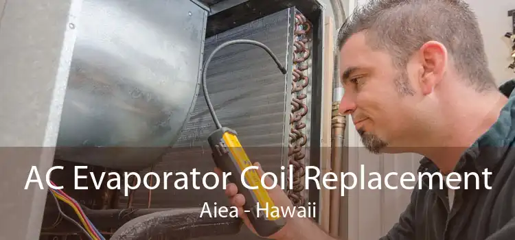 AC Evaporator Coil Replacement Aiea - Hawaii