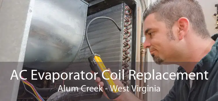 AC Evaporator Coil Replacement Alum Creek - West Virginia