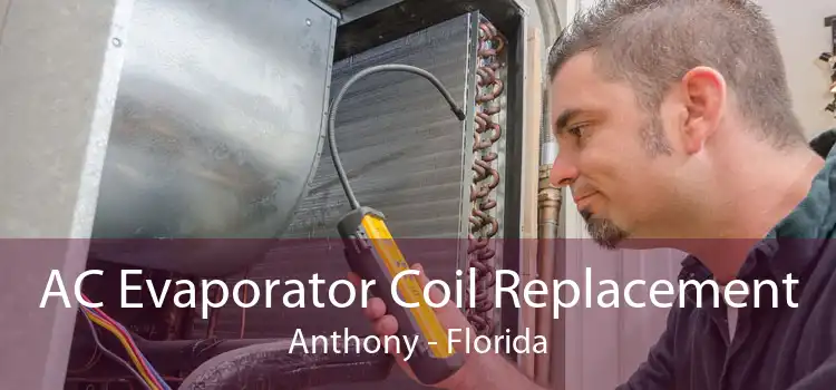 AC Evaporator Coil Replacement Anthony - Florida
