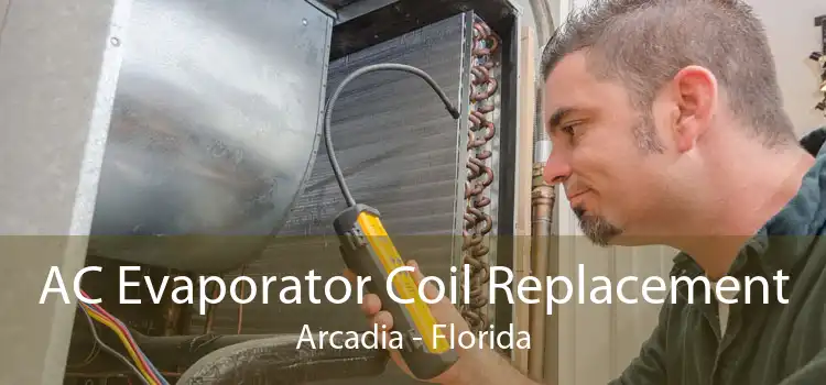 AC Evaporator Coil Replacement Arcadia - Florida