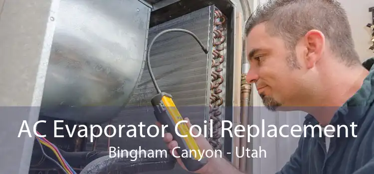 AC Evaporator Coil Replacement Bingham Canyon - Utah