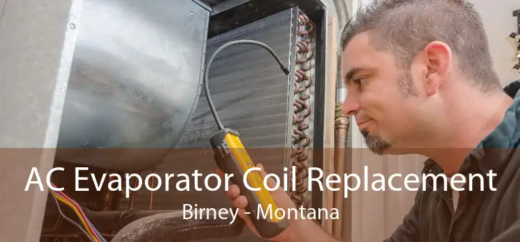 AC Evaporator Coil Replacement Birney - Montana