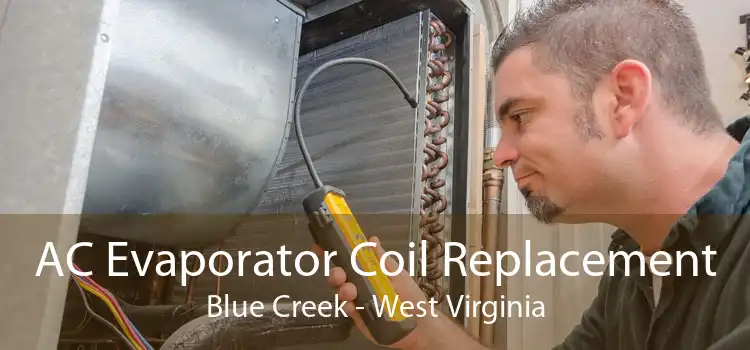 AC Evaporator Coil Replacement Blue Creek - West Virginia