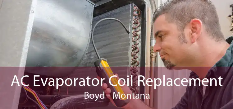 AC Evaporator Coil Replacement Boyd - Montana