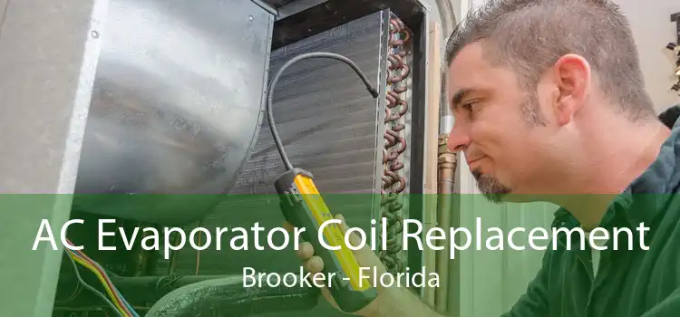 AC Evaporator Coil Replacement Brooker - Florida
