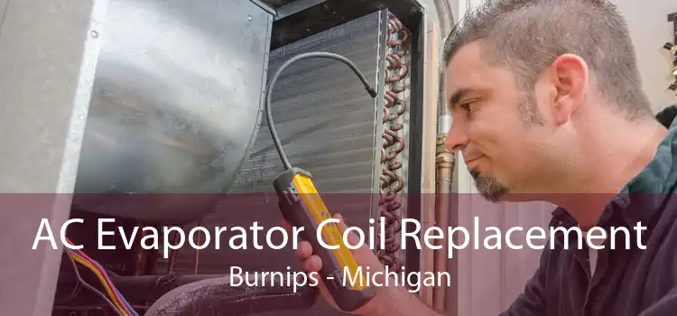 AC Evaporator Coil Replacement Burnips - Michigan
