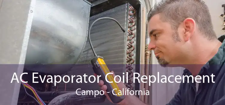 AC Evaporator Coil Replacement Campo - California