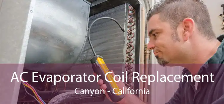 AC Evaporator Coil Replacement Canyon - California