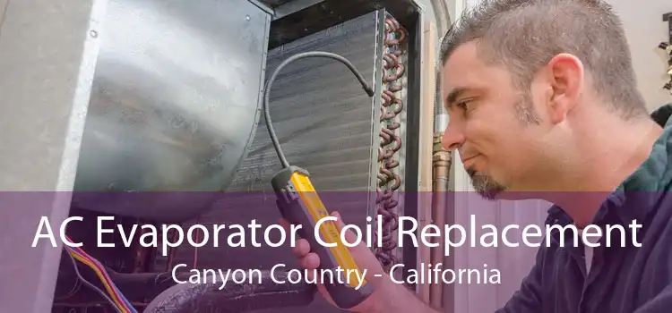 AC Evaporator Coil Replacement Canyon Country - California