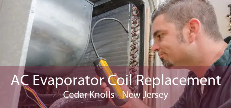 AC Evaporator Coil Replacement Cedar Knolls - New Jersey