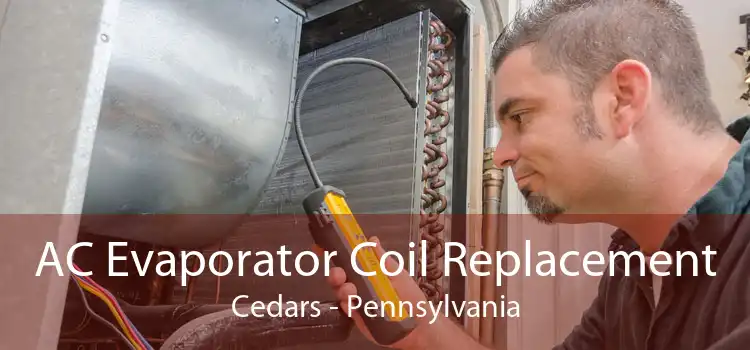 AC Evaporator Coil Replacement Cedars - Pennsylvania