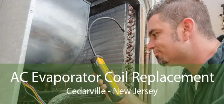 AC Evaporator Coil Replacement Cedarville - New Jersey