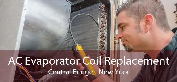 AC Evaporator Coil Replacement Central Bridge - New York