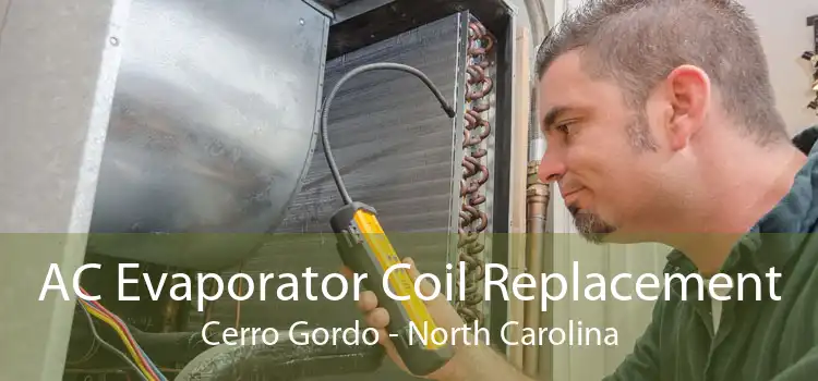 AC Evaporator Coil Replacement Cerro Gordo - North Carolina