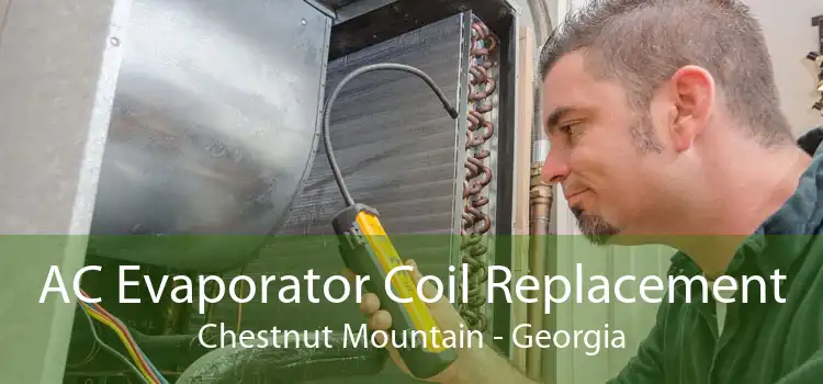 AC Evaporator Coil Replacement Chestnut Mountain - Georgia