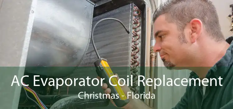 AC Evaporator Coil Replacement Christmas - Florida