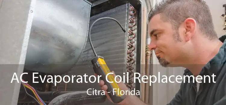 AC Evaporator Coil Replacement Citra - Florida