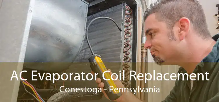 AC Evaporator Coil Replacement Conestoga - Pennsylvania
