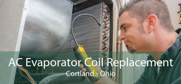AC Evaporator Coil Replacement Cortland - Ohio